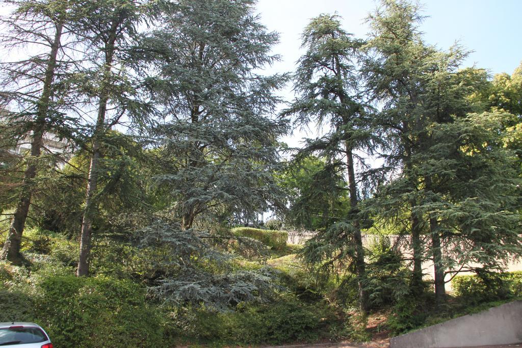 Les Hauts De Perrache Bed and Breakfast Sainte-Foy-lès-Lyon Exterior foto